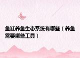 鱼缸养鱼生态系统有哪些（养鱼需要哪些工具）