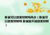 卧室可以放发财树吗风水（卧室可以放发财树吗 卧室能不能放发财树）