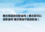 熏衣草能放在卧室吗（熏衣草可以放卧室吗 薰衣草能不能放卧室）