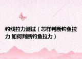 钓线拉力测试（怎样判断钓鱼拉力 如何判断钓鱼拉力）