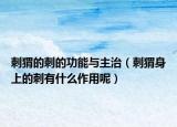刺猬的刺的功能与主治（刺猬身上的刺有什么作用呢）