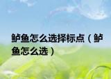 鲈鱼怎么选择标点（鲈鱼怎么选）