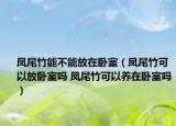 凤尾竹能不能放在卧室（凤尾竹可以放卧室吗 凤尾竹可以养在卧室吗）
