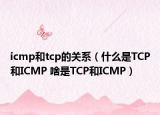 icmp和tcp的关系（什么是TCP和ICMP 啥是TCP和ICMP）