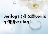 verilog?（什么是verilog 何谓verilog）