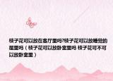 枝子花可以放在客厅里吗?枝子花可以放睡觉的屋里吗（枝子花可以放卧室里吗 枝子花可不可以放卧室里）