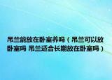 吊兰能放在卧室养吗（吊兰可以放卧室吗 吊兰适合长期放在卧室吗）