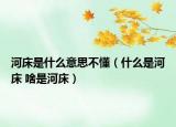 河床是什么意思不懂（什么是河床 啥是河床）