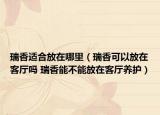 瑞香适合放在哪里（瑞香可以放在客厅吗 瑞香能不能放在客厅养护）