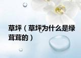 草坪（草坪为什么是绿茸茸的）