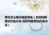 黑坑怎么看水哪里有鱼（怎样判断黑坑钓鱼水深 如何判断黑坑钓鱼水深）
