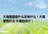 大海里面有什么还有什么（大海里有什么 大海的简介）