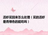 活虾买回来怎么处理（买的活虾是青绿色的能吃吗）