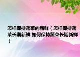 怎样保持蔬菜的新鲜（怎样保持蔬菜长期新鲜 如何保持蔬菜长期新鲜）