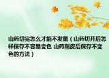 山药切完怎么才能不发黑（山药切开后怎样保存不容易变色 山药削皮后保存不变色的方法）