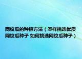 网纹瓜的种植方法（怎样挑选优质网纹瓜种子 如何挑选网纹瓜种子）