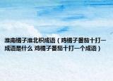 淮南橘子淮北枳成语（鸡橘子番茄十打一成语是什么 鸡橘子番茄十打一个成语）