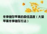 冬季储存苹果的最佳温度（大量苹果冬季储存方法）