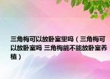 三角梅可以放卧室里吗（三角梅可以放卧室吗 三角梅能不能放卧室养植）