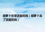 胡萝卜长芽还能吃吗（胡萝卜冻了还能吃吗）