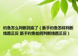 钓鱼怎么判断到底了（新手钓鱼怎样判断线路正反 新手钓鱼如何判断线路正反）