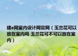 建e网室内设计网官网（玉兰花可以放在室内吗 玉兰花可不可以放在室内）
