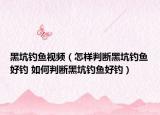 黑坑钓鱼视频（怎样判断黑坑钓鱼好钓 如何判断黑坑钓鱼好钓）