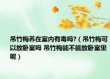 吊竹梅养在室内有毒吗?（吊竹梅可以放卧室吗 吊竹梅能不能放卧室里呢）