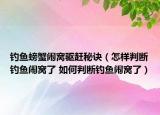 钓鱼螃蟹闹窝驱赶秘诀（怎样判断钓鱼闹窝了 如何判断钓鱼闹窝了）