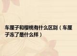 车厘子和樱桃有什么区别（车厘子冻了是什么样）
