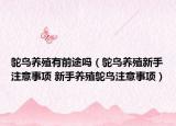 鸵鸟养殖有前途吗（鸵鸟养殖新手注意事项 新手养殖鸵鸟注意事项）