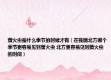 萤火虫是什么季节的时候才有（在我国北方哪个季节更容易见到萤火虫 北方更容易见到萤火虫的时间）