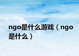 ngo是什么游戏（ngo是什么）