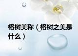 榕树美称（榕树之美是什么）
