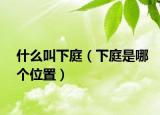 什么叫下庭（下庭是哪个位置）