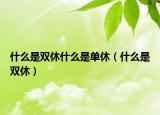 什么是双休什么是单休（什么是双休）