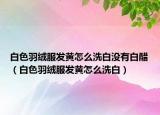白色羽绒服发黄怎么洗白没有白醋（白色羽绒服发黄怎么洗白）