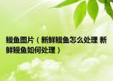 鳗鱼图片（新鲜鳗鱼怎么处理 新鲜鳗鱼如何处理）