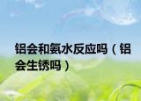 铝会和氨水反应吗（铝会生锈吗）