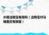 水箱洁厕宝有用吗（洁厕宝对马桶是否有损害）