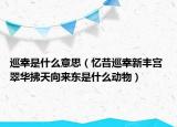 巡幸是什么意思（忆昔巡幸新丰宫 翠华拂天向来东是什么动物）