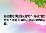 卧室里可以放仙人球吗?（卧室可以放仙人球吗 卧室能不 能养植放仙人球）