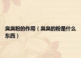 臭臭粉的作用（臭臭的粉是什么东西）