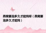 燕窝要泡多久才能炖呀（燕窝要泡多久才能炖）
