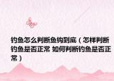 钓鱼怎么判断鱼钩到底（怎样判断钓鱼是否正常 如何判断钓鱼是否正常）