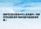 绿萝可以放在卧室吗对人体有害吗（绿萝花可以放卧室吗 绿萝花能不能放卧室养植）
