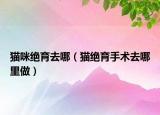 猫咪绝育去哪（猫绝育手术去哪里做）