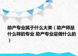 助产专业属于什么大类（助产师是什么样的专业 助产专业是做什么的）