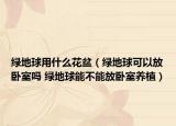 绿地球用什么花盆（绿地球可以放卧室吗 绿地球能不能放卧室养植）