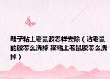 鞋子粘上老鼠胶怎样去除（沾老鼠的胶怎么洗掉 猫粘上老鼠胶怎么洗掉）